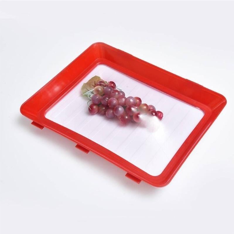 📣Hot Sale🔥Environmentally friendly design - Reusable Food Preserving Tray