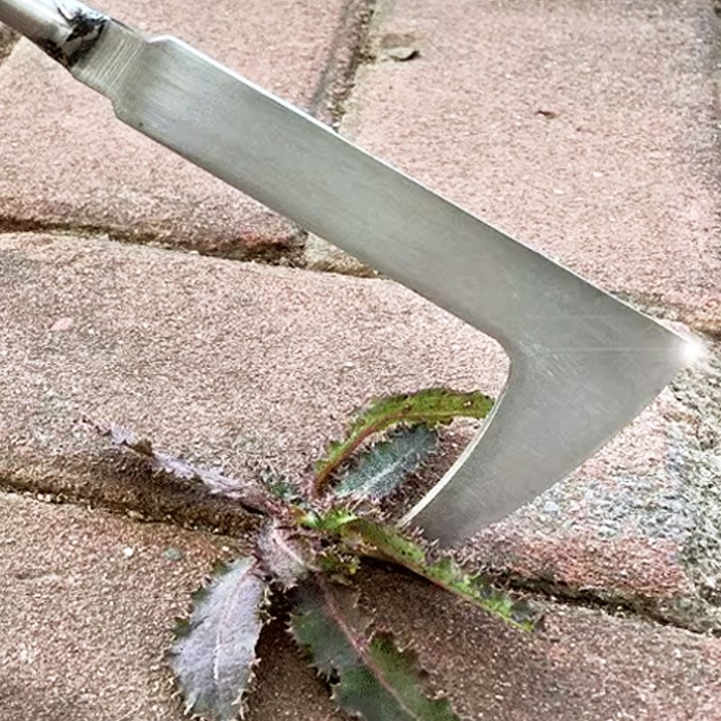 Multipurpose Crevice Weeding Tool