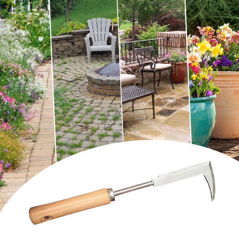 Multipurpose Crevice Weeding Tool