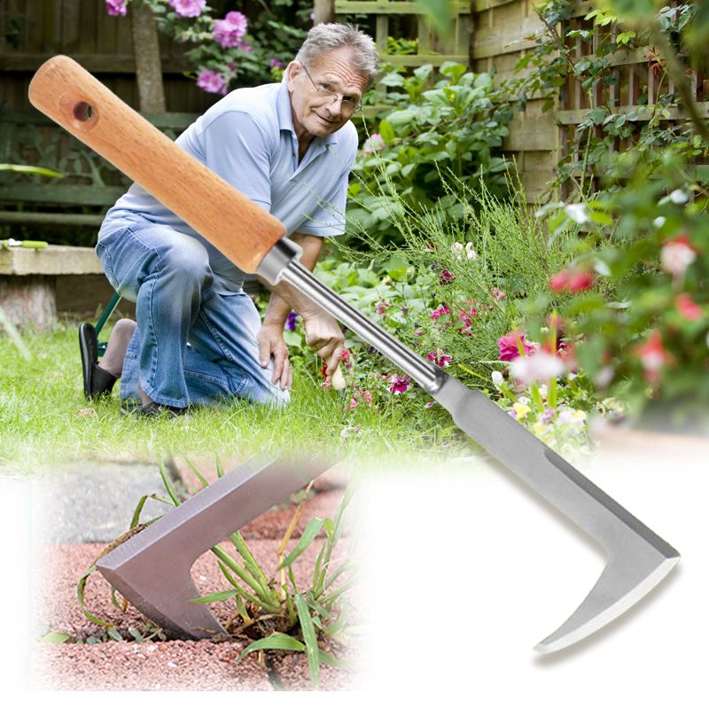 Multipurpose Crevice Weeding Tool