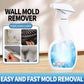 ⏰Highly Effective Mould Removal Spray - Prevents Mould Regrowth