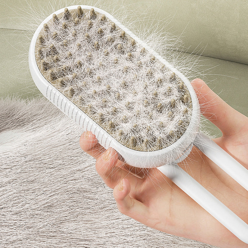 🔥Multi-Function Spray & Massage Grooming Comb