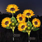 📢📢50% OFF !! ⏰ Sunflower Solar Lights – Auto On/Off, 14H Glow, IP65 Waterproof ☀️