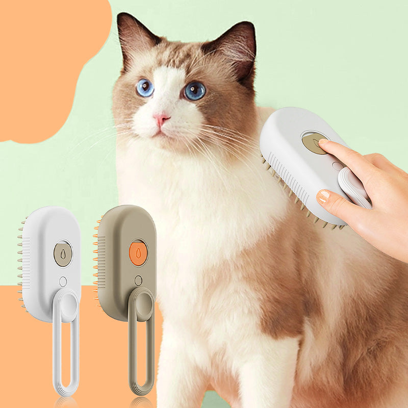 🔥Multi-Function Spray & Massage Grooming Comb