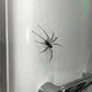 Spider Fridge Magnet🎁Realistic Spider Magnets, for Refrigerator, Garage Door, or Car