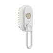 🔥Multi-Function Spray & Massage Grooming Comb