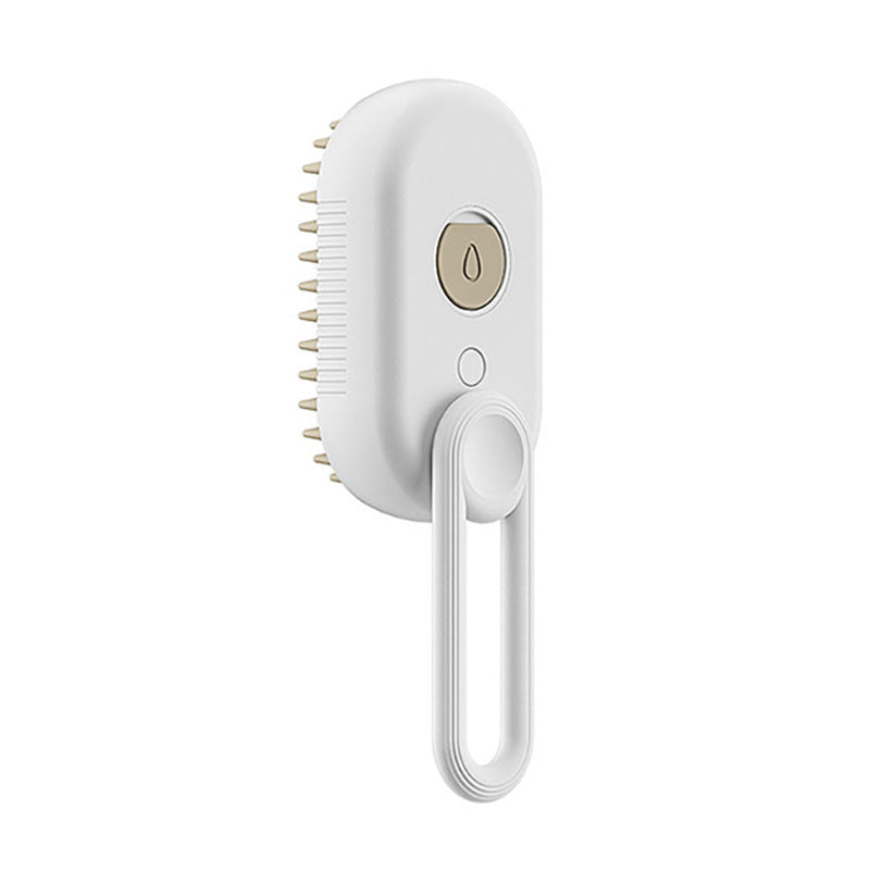 🔥Multi-Function Spray & Massage Grooming Comb