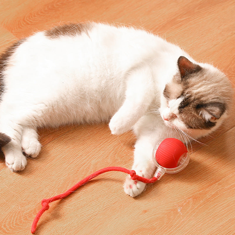 🐱Buy 1 Get 1 Free🐶Smart Automatic Rolling Pet Ball