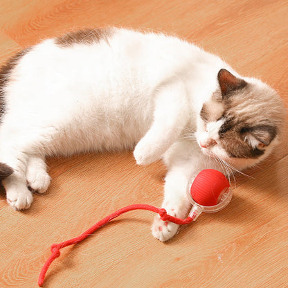 🐱Buy 1 Get 1 Free🐶Smart Automatic Rolling Pet Ball