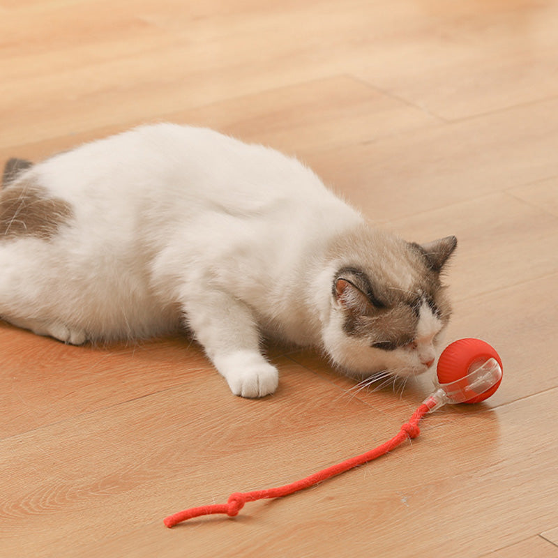 🐱Buy 1 Get 1 Free🐶Smart Automatic Rolling Pet Ball