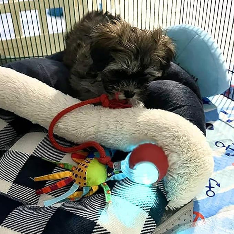 🐱Buy 1 Get 1 Free🐶Smart Automatic Rolling Pet Ball