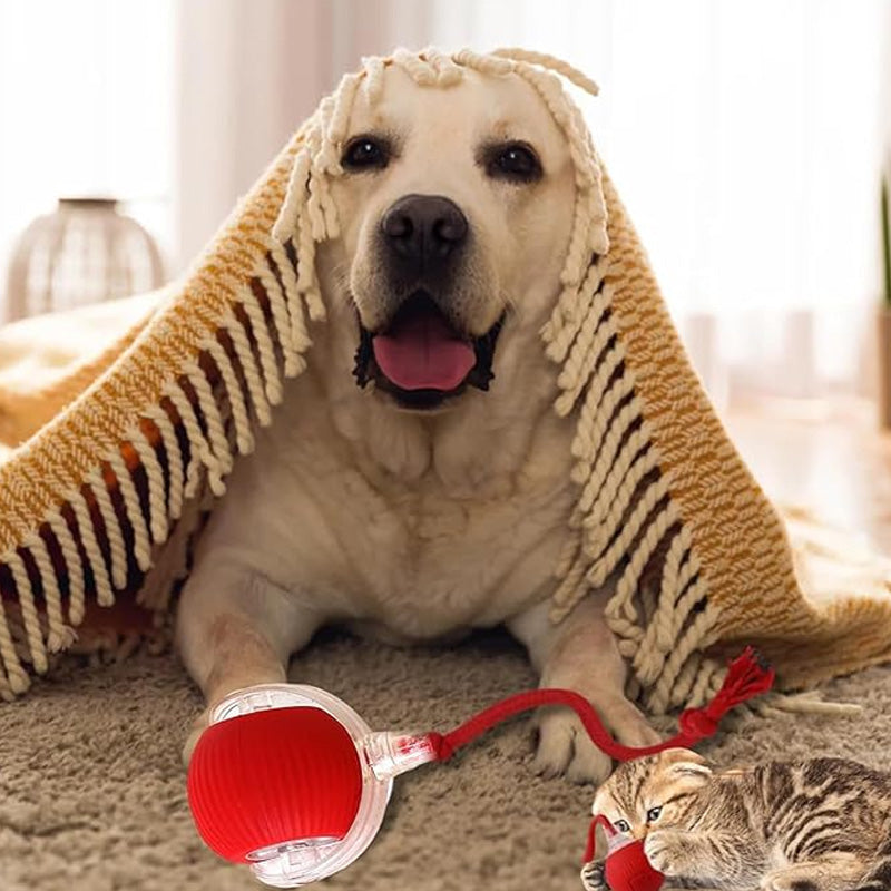 🐱Buy 1 Get 1 Free🐶Smart Automatic Rolling Pet Ball