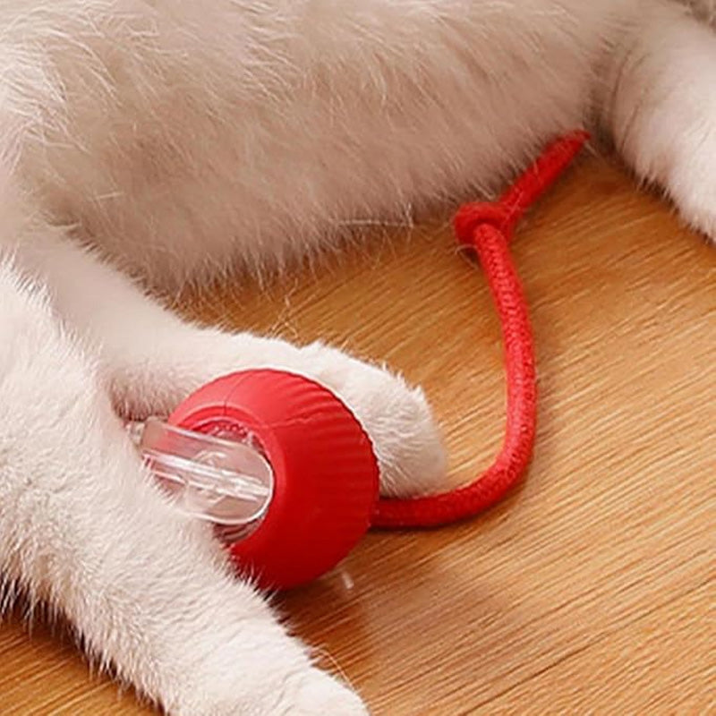🐱Buy 1 Get 1 Free🐶Smart Automatic Rolling Pet Ball