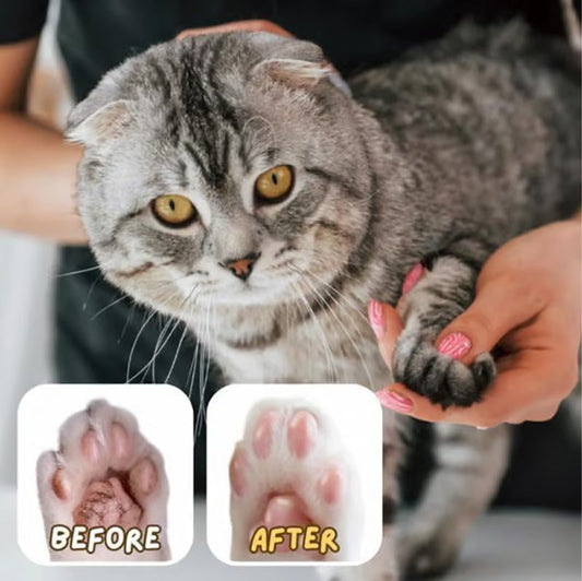 Universal mild formula Paw Ointment Stick