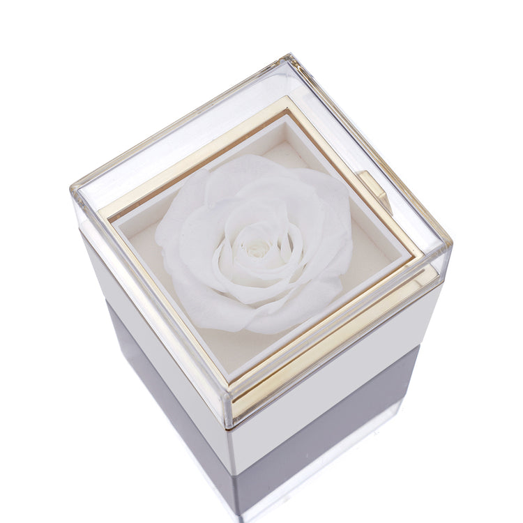 Eternal Rose Box - W/Engraved Necklace & Artificial Rose