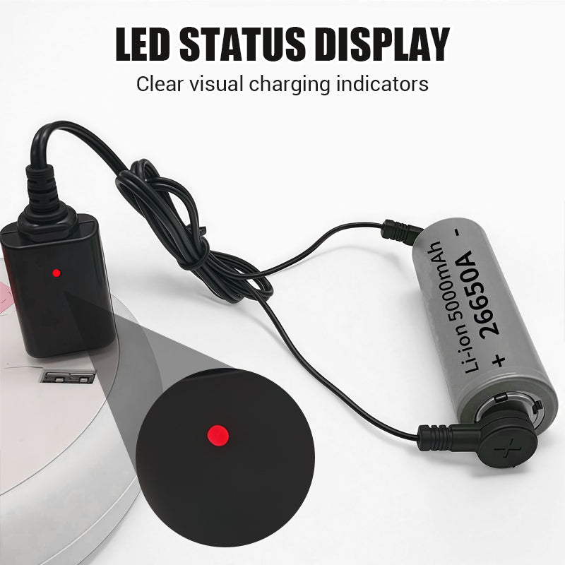 Magnetic Battery Charger for Electric