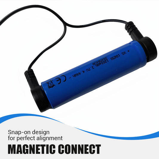 Magnetic Battery Charger for Electric