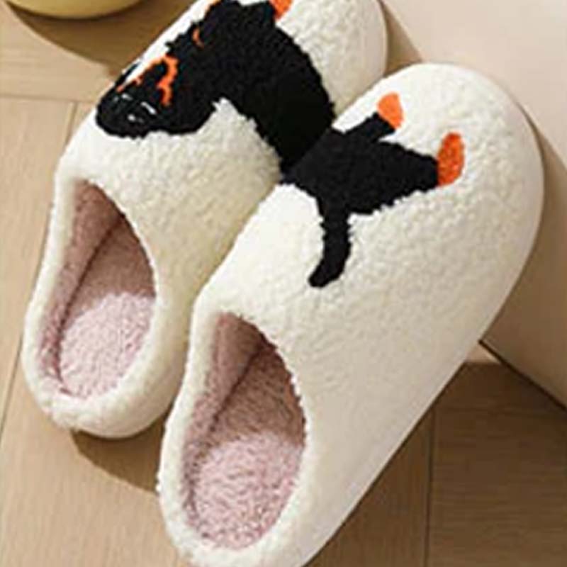 💗Last Day Hot Sale💗Women's Cute & Warm House Slippers