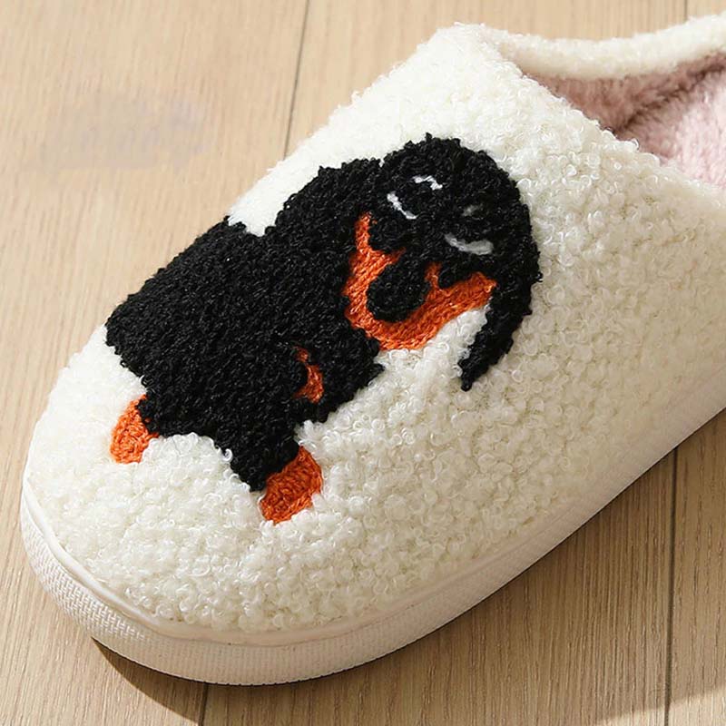 💗Last Day Hot Sale💗Women's Cute & Warm House Slippers
