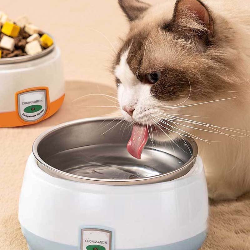 Safe Electric Heated Pet Food & Water Bowl
