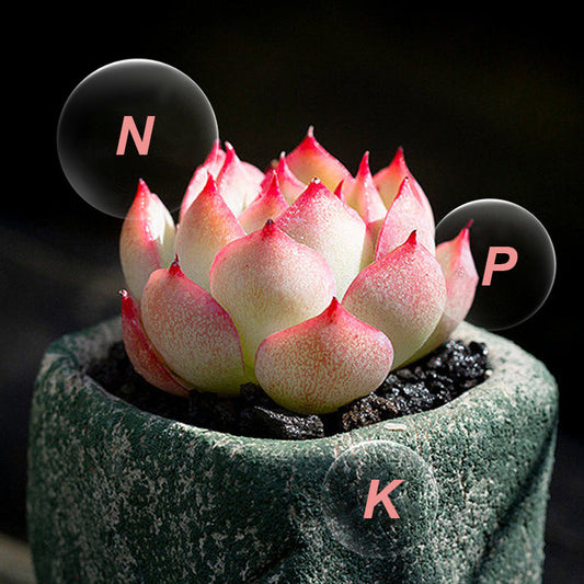 🌿 BUY 2 GET 1 FREE! ✨ All-Purpose Slow-Release Tablet Fertilizer - Balanced Nutrients for Flowers, Vegetables & Potted Plants with 3-Month Feeding 🌱🌸