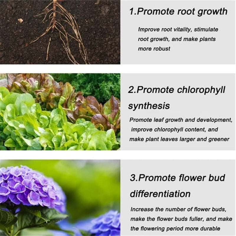 🌿 BUY 2 GET 1 FREE! ✨ All-Purpose Slow-Release Tablet Fertilizer - Balanced Nutrients for Flowers, Vegetables & Potted Plants with 3-Month Feeding 🌱🌸