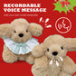 🔥Last Day 50% OFF🎁 The Best Gift of 2025🧸DIY Christmas Recording Plush Dolls Kit