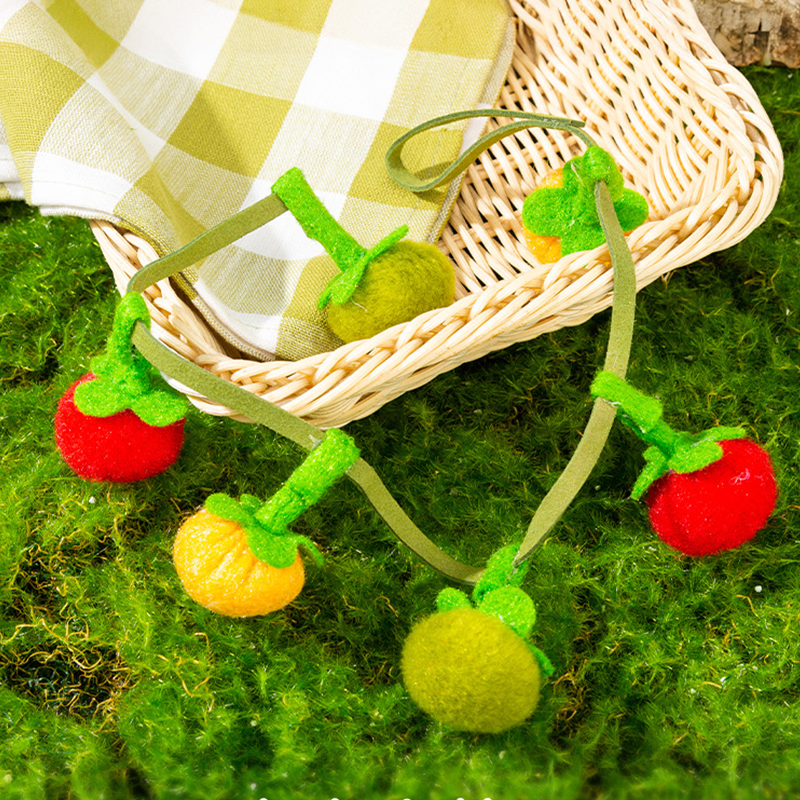 📢📢HOT SALE 50% OFF!!!✨Interactive Fruit-Shaped Catnip Toy String