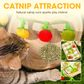📢📢HOT SALE 50% OFF!!!✨Interactive Fruit-Shaped Catnip Toy String