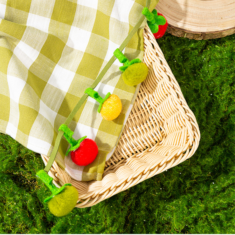 📢📢HOT SALE 50% OFF!!!✨Interactive Fruit-Shaped Catnip Toy String