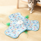 2-In-1 Hide and Seek Game Cat Toy
