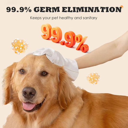 Pet No-Rinse Grooming Wipe Gloves