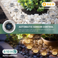 💐50% OFF ! 2‑Pack Solar Path Lights – 50K+ Sold, Auto Dusk‑to‑Dawn ☀️🏆【Limited Offer】