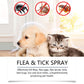 🐶🐱Natural Flea & Tick Spray for Dogs and Cats