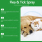 🐶🐱Natural Flea & Tick Spray for Dogs and Cats