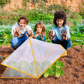Foldable Plant Protection Tent Cover