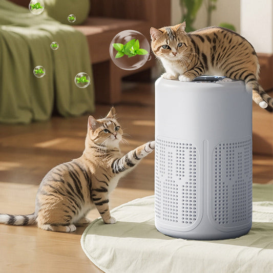 🌬️ 50% OFF! 🔥🌀Home air purifier🌿Includes filters and aromatherapy tablets