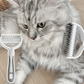 🔥Only £7.99 Each! 🐕Professional Dual-Sided Pet Grooming Rake—Less mess, more cuddles. ✨🧡