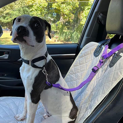 🔥Only ￡7.99 Today!! 🎁2-in-1 Dog Car Seat Belt & Walking Leash