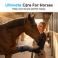 ✨Rechargeable Equine Joint Therapy Wrap🐎