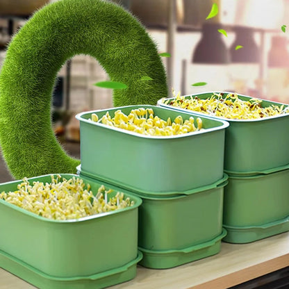 📢📢50% OFF !! ⏰Stackable Bean Sprout Grower Box